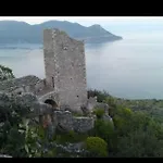 Mani Stevi *